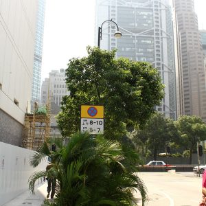 Hong-Kong-274